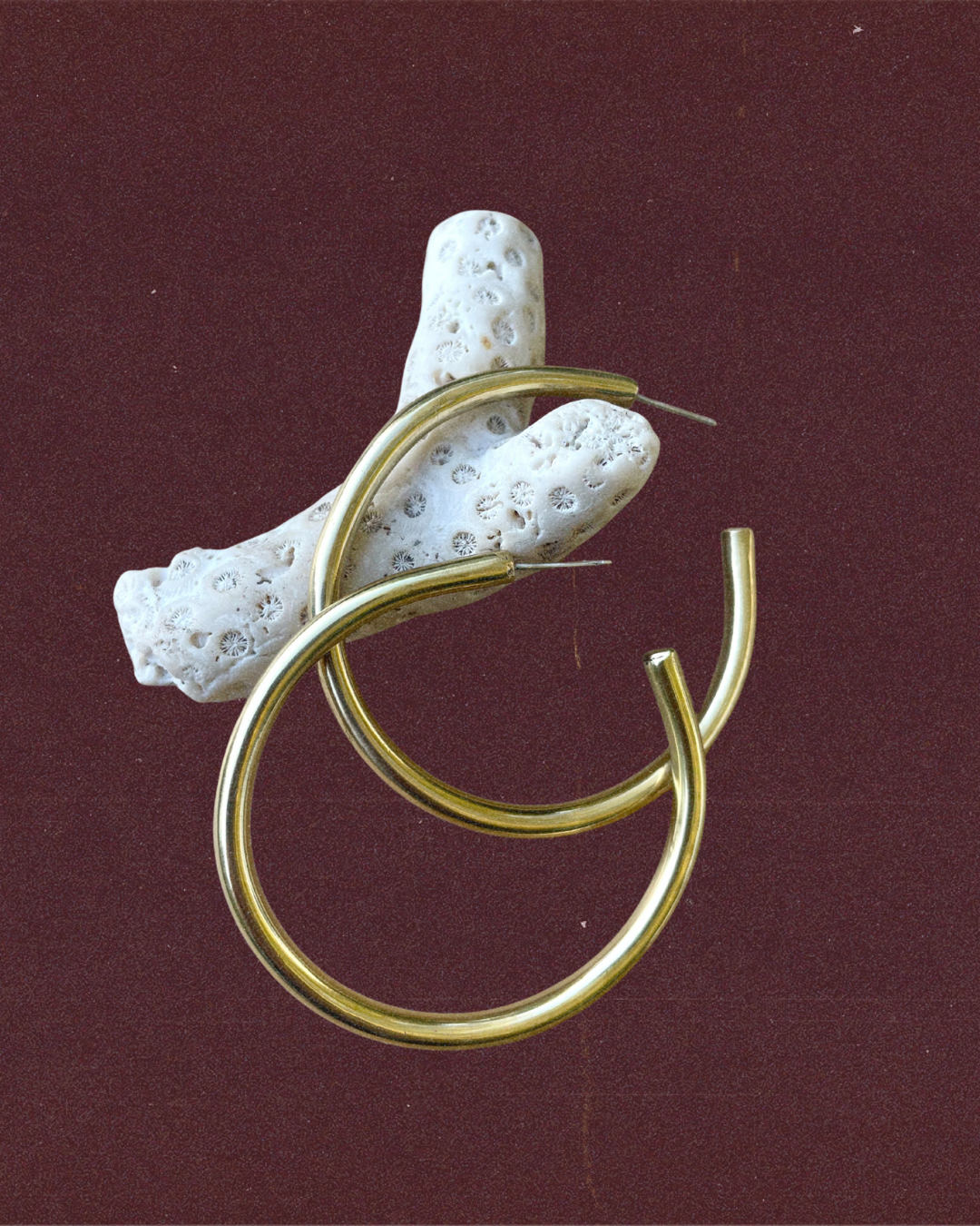 Gordita Hoop Earrings