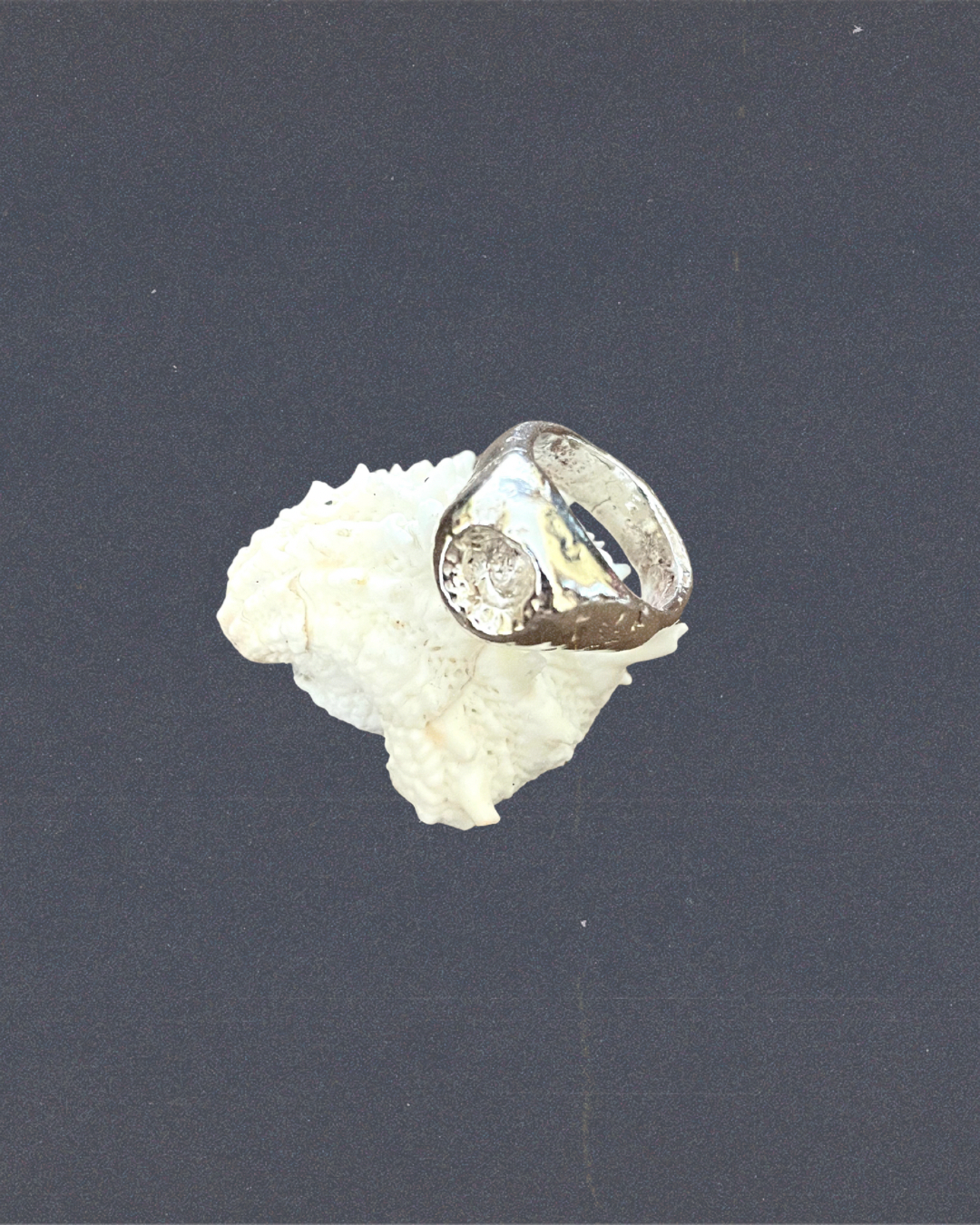 Fossil Ring