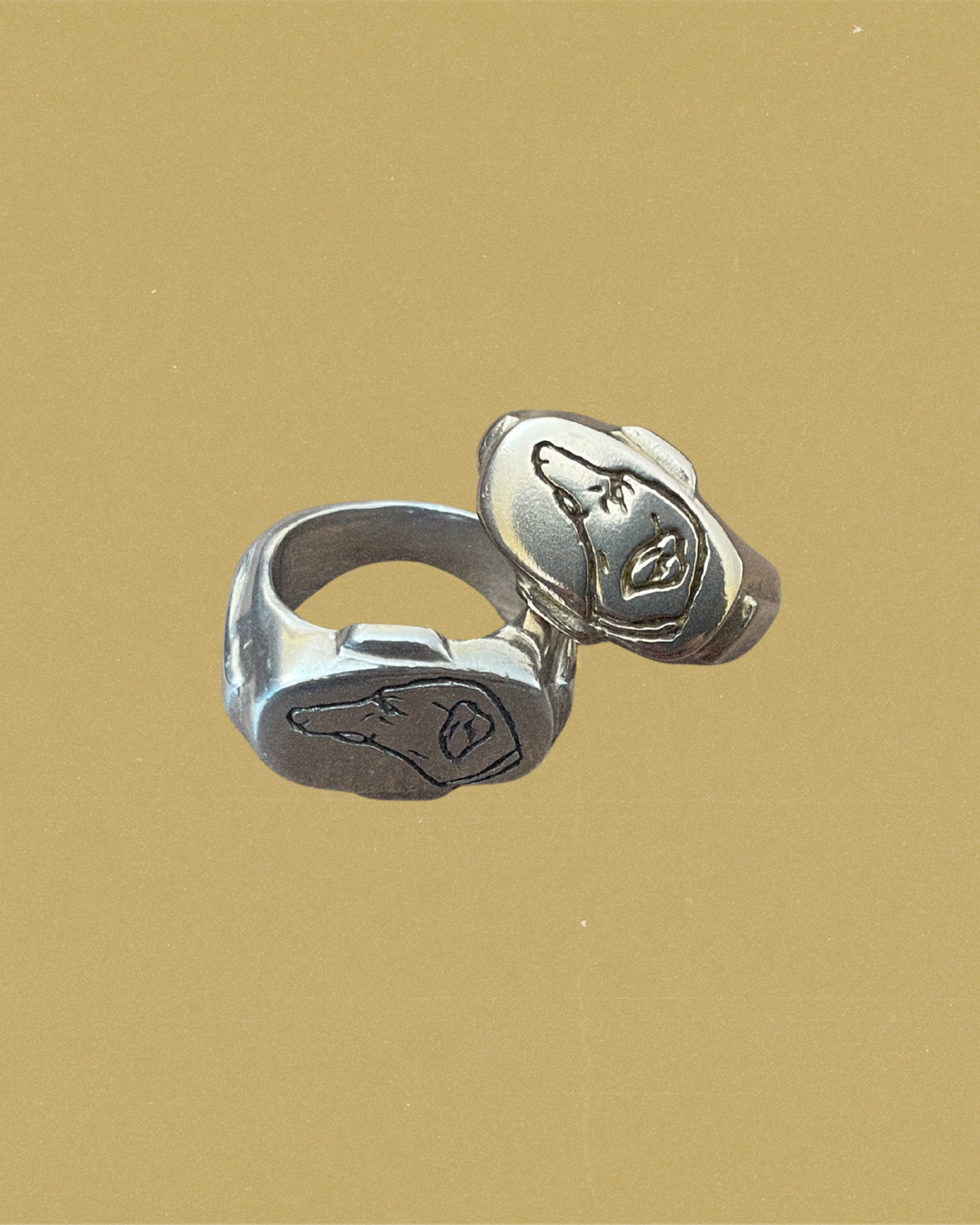 Perro Signet Ring