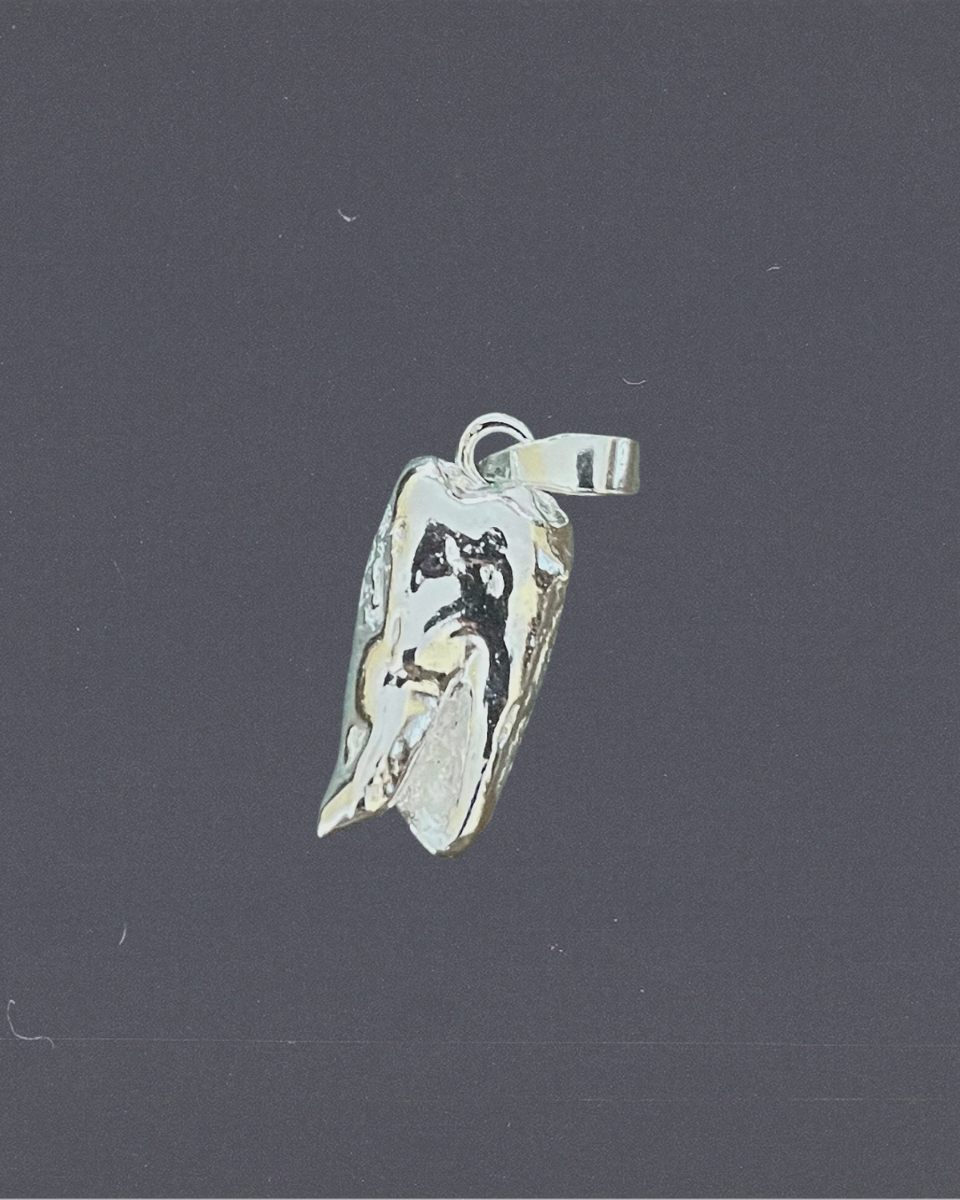 Whole Wisdom Tooth Amulet