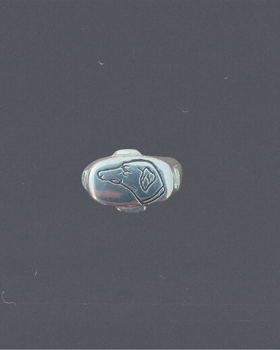 Perro Signet Ring